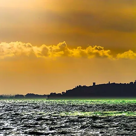 Darsena